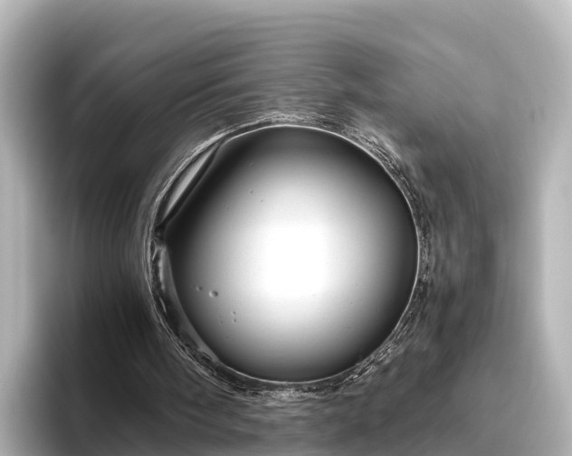 X0000096420098200801311420