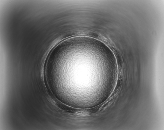 X0000096420099200801311420