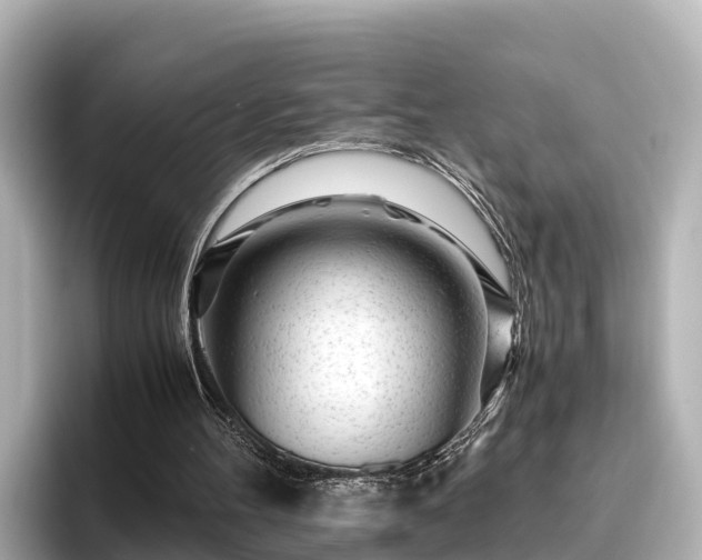 X0000096420100200801311420