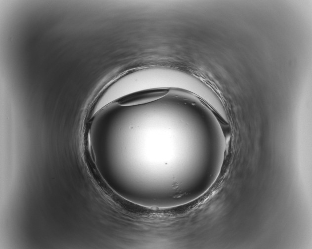 X0000096420101200801311420