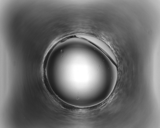 X0000096420102200801311420