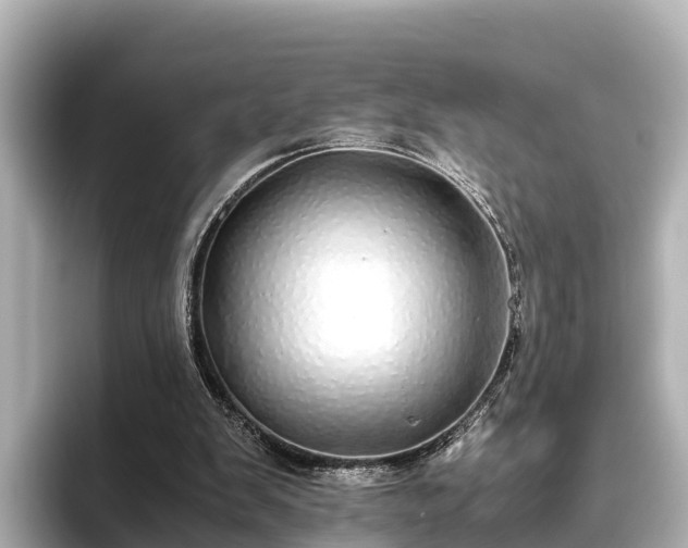 X0000096420103200801311420