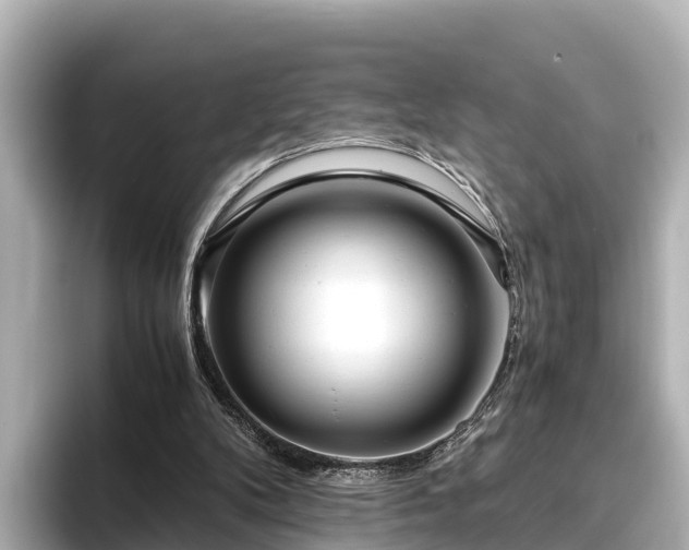 X0000096420104200801311420