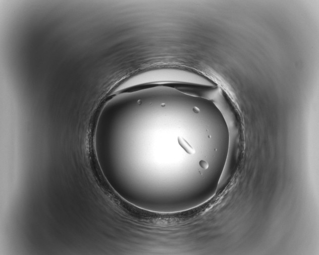 X0000096420105200801311420