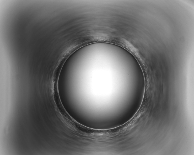 X0000096420106200801311420