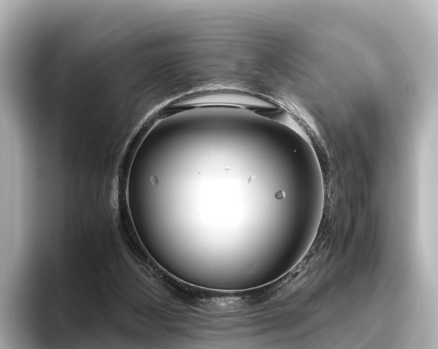 X0000096420108200801311420