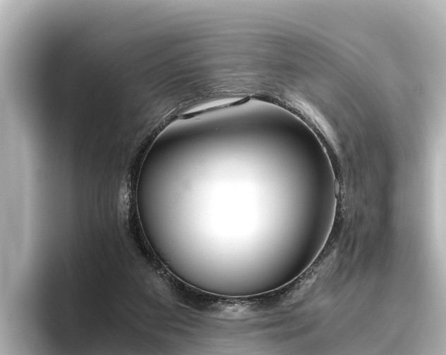 X0000096420113200801311420