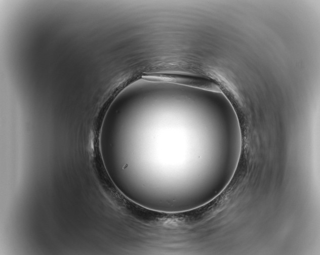 X0000096420115200801311420