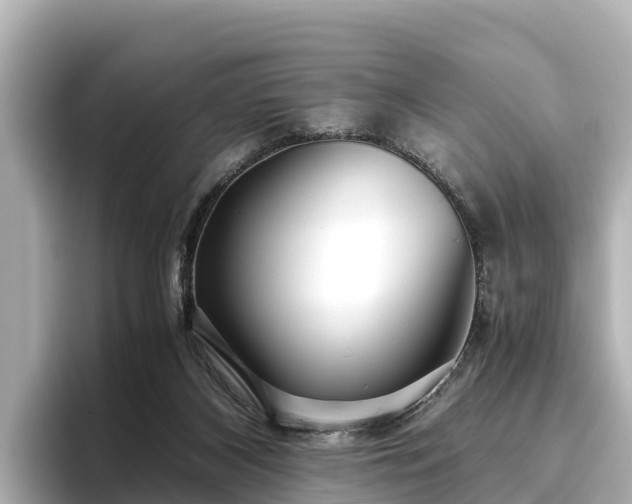 X0000096420116200801311420