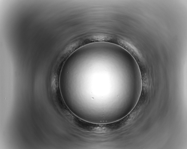 X0000096420119200801311420