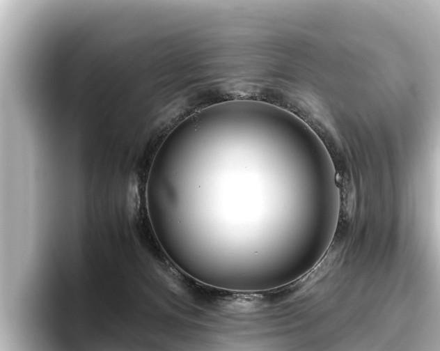 X0000096420128200801311420