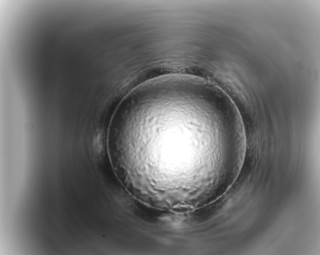 X0000096420131200801311420