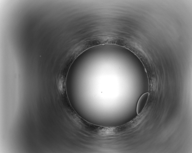 X0000096420138200801311420