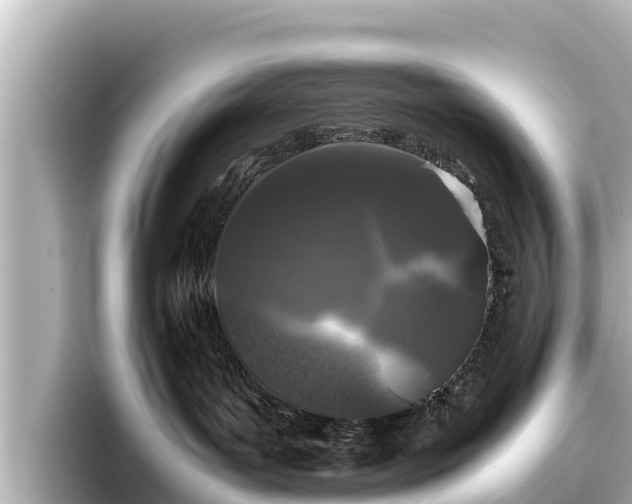 X0000096420143200801311420