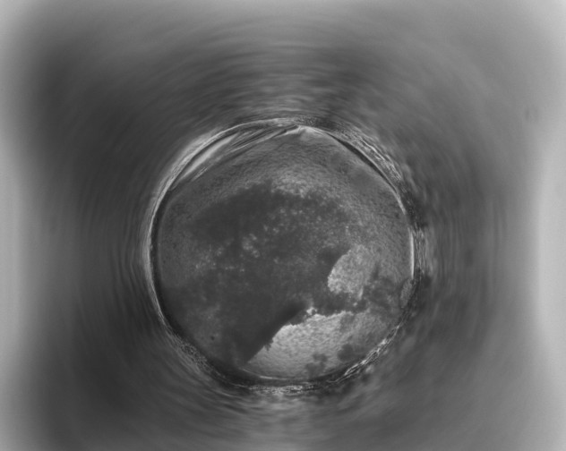 X0000096420147200801311419