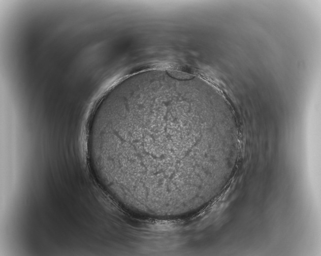 X0000096420149200801311419