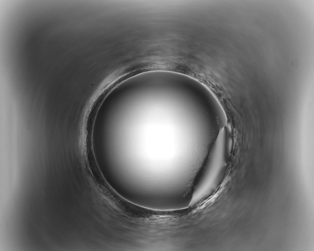 X0000096420150200801311419