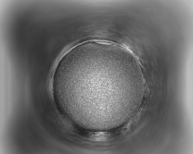 X0000096420151200801311419