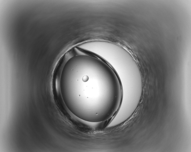 X0000096420152200801311419