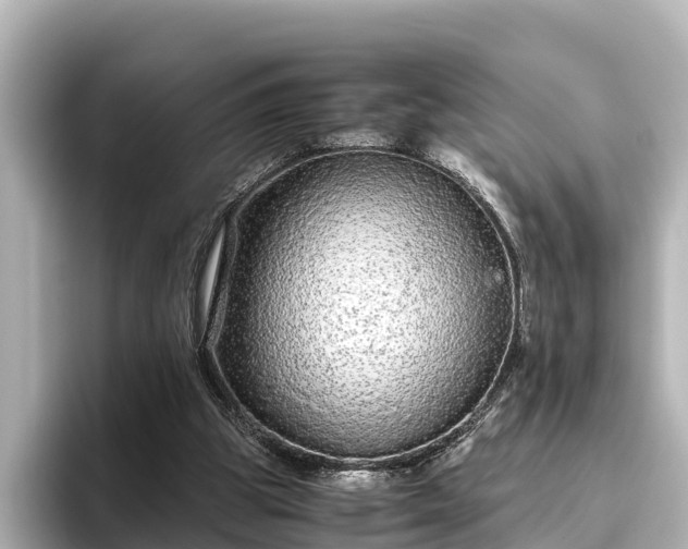 X0000096420153200801311419