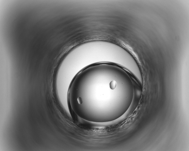 X0000096420154200801311419