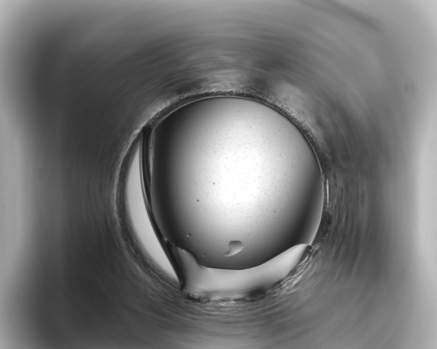 X0000096420156200801311419