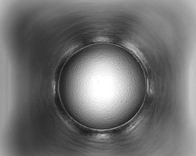 X0000096420157200801311419