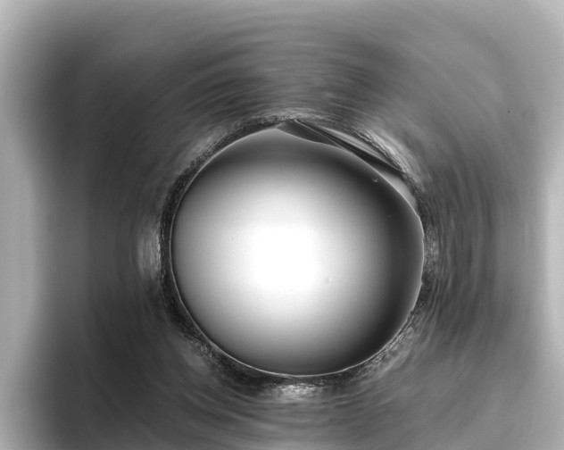 X0000096420158200801311419