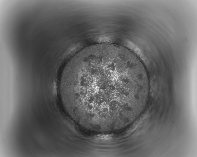 X0000096420161200801311419