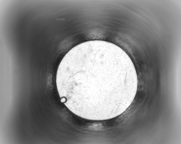 X0000096420162200801311419