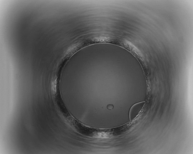 X0000096420163200801311419