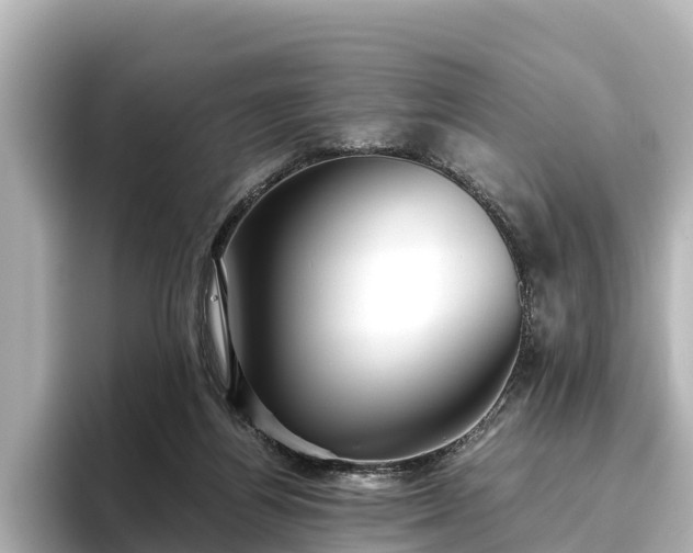 X0000096420164200801311419