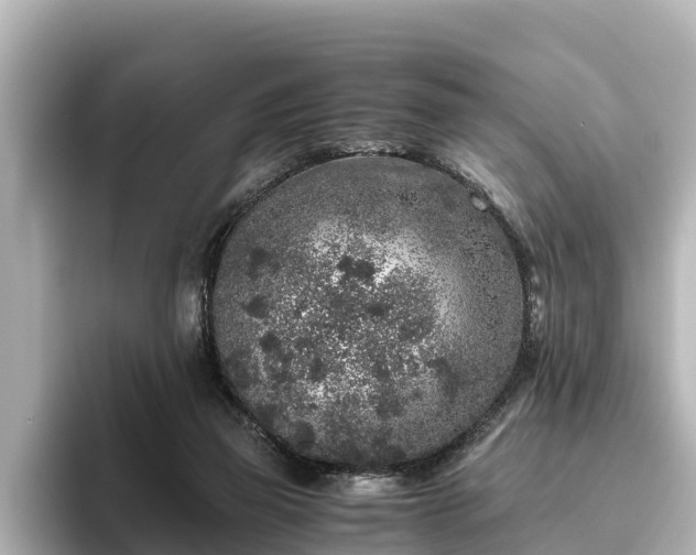 X0000096420165200801311419