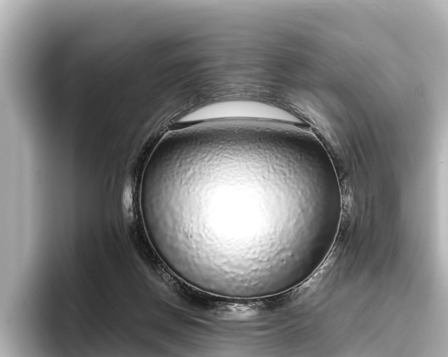 X0000096420166200801311419