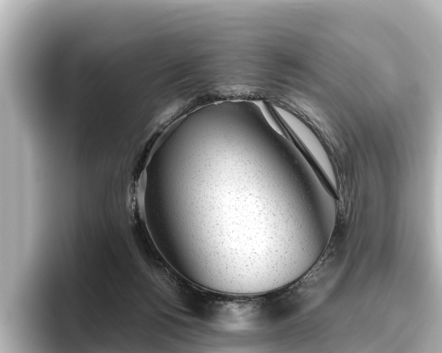 X0000096420168200801311419