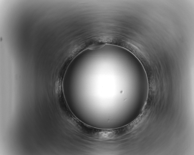 X0000096420172200801311419