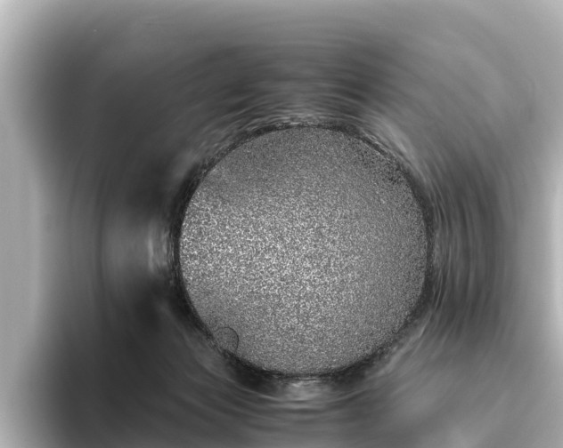 X0000096420173200801311419