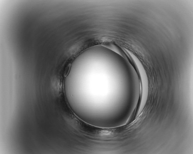 X0000096420176200801311419