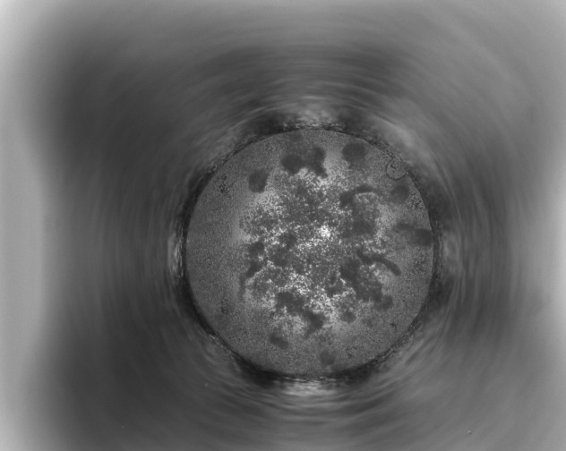 X0000096420177200801311419