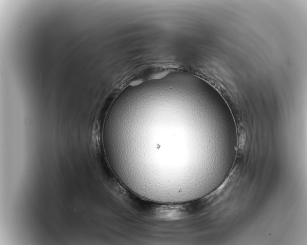 X0000096420179200801311419