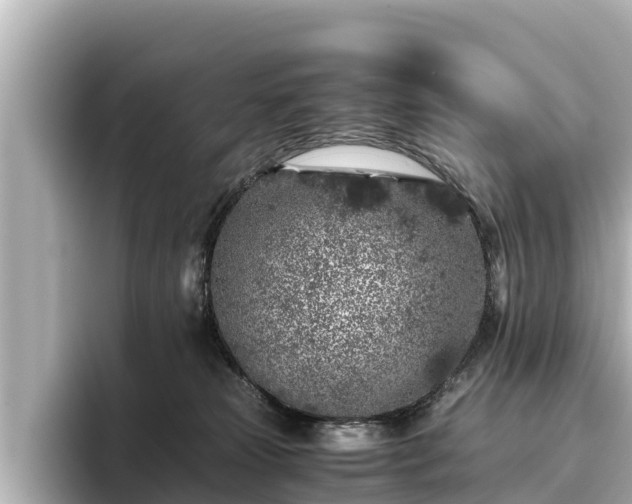 X0000096420181200801311419