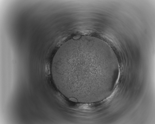 X0000096420182200801311419