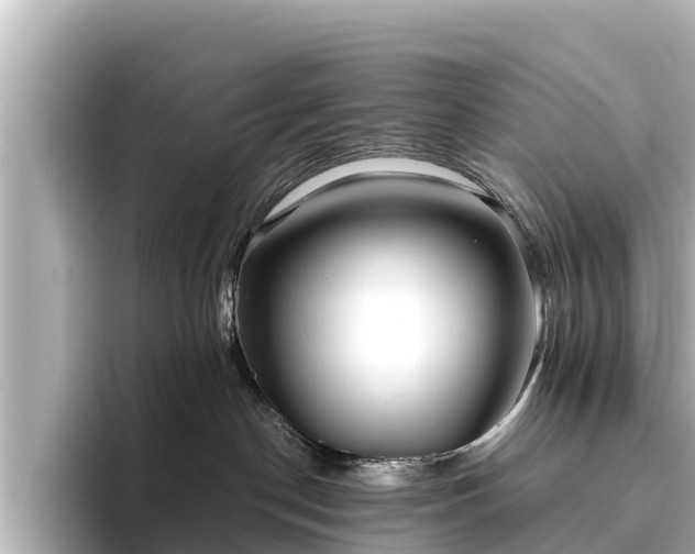 X0000096420190200801311420