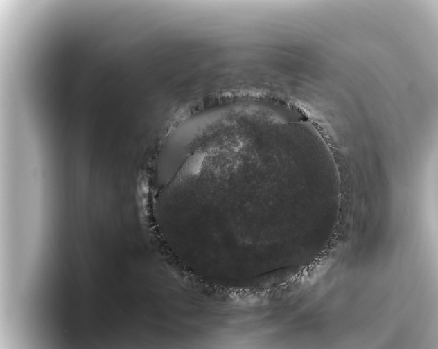 X0000096420192200801311420