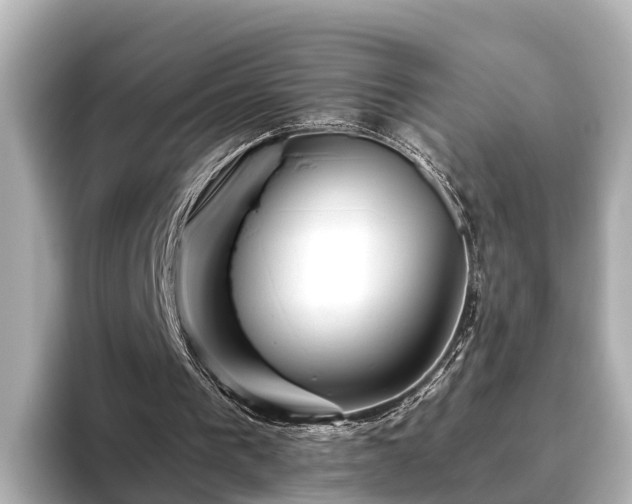 X0000096420193200801311419