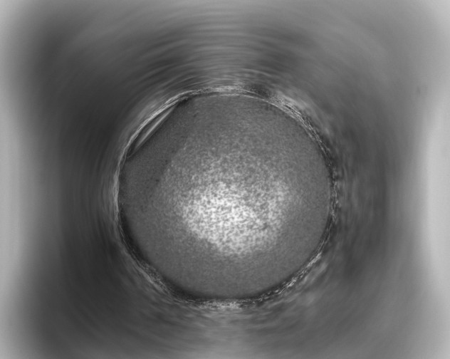 X0000096420194200801311419