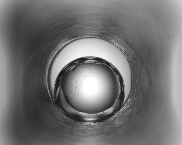 X0000096420195200801311419