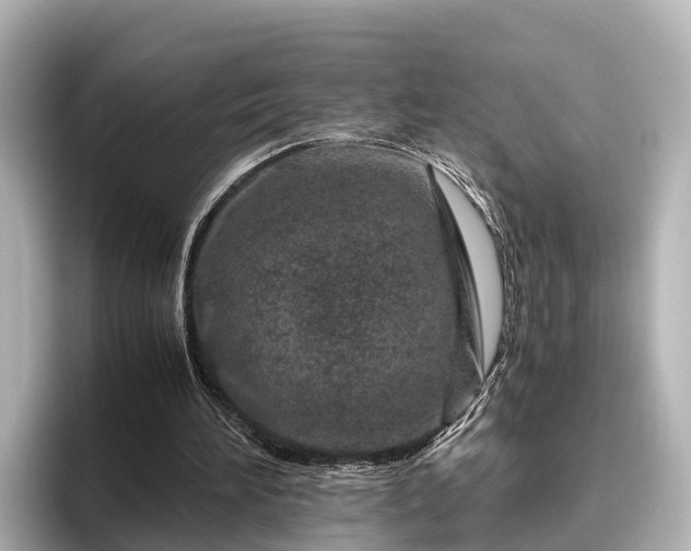 X0000096420196200801311419