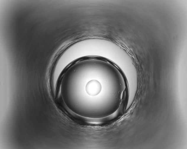 X0000096420197200801311419