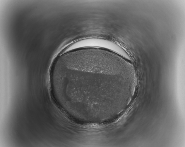 X0000096420198200801311419